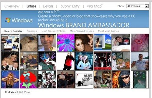 Windows® Brand Ambassador Entries