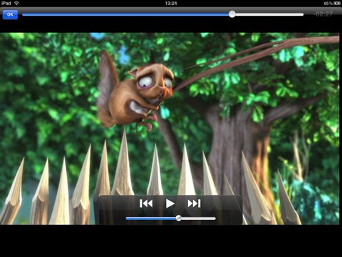 VLC Player for iPad