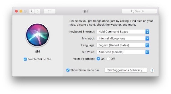 Siri Settings macOS High Sierra
