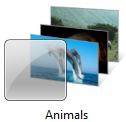 Animals Windows 7 Theme
