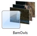 BarnOwls