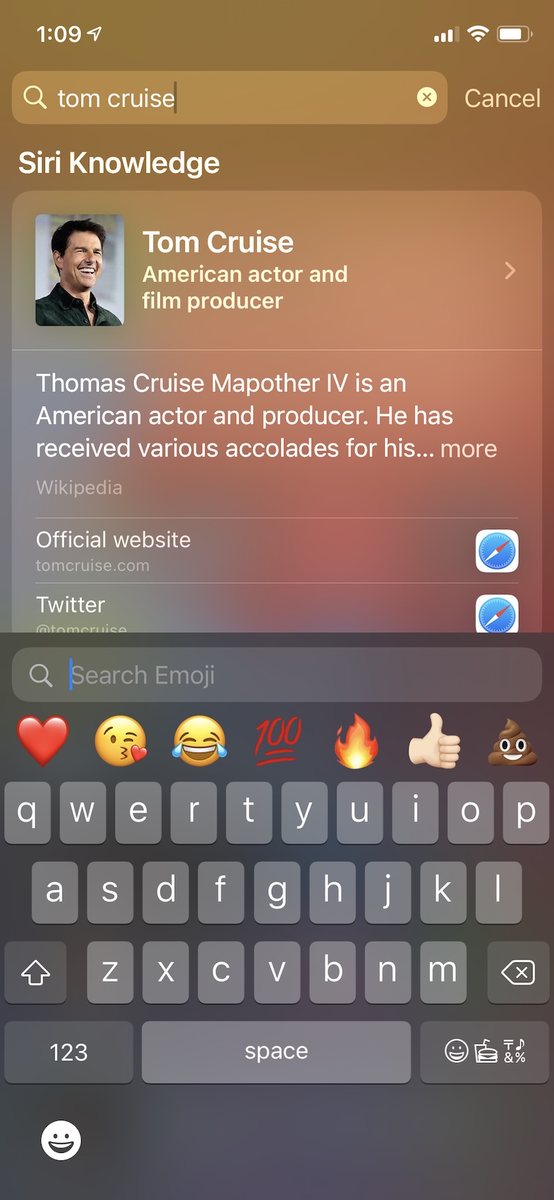 iOS 14 Emoji Search