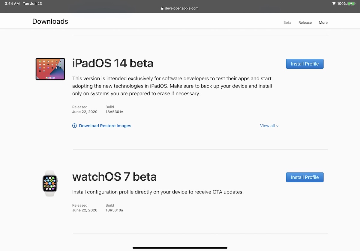iPadOS 14 beta