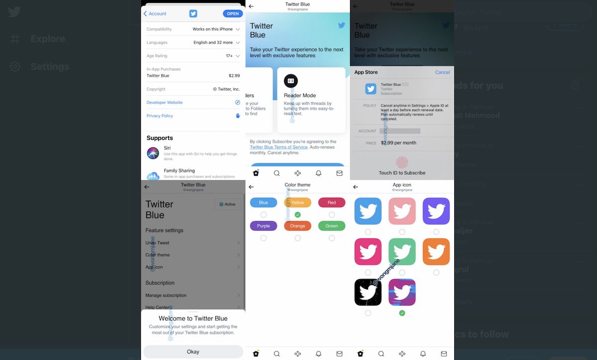 Twitter Blue on iOS