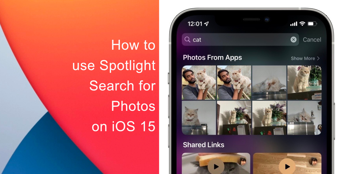 Spotlight search for Photos