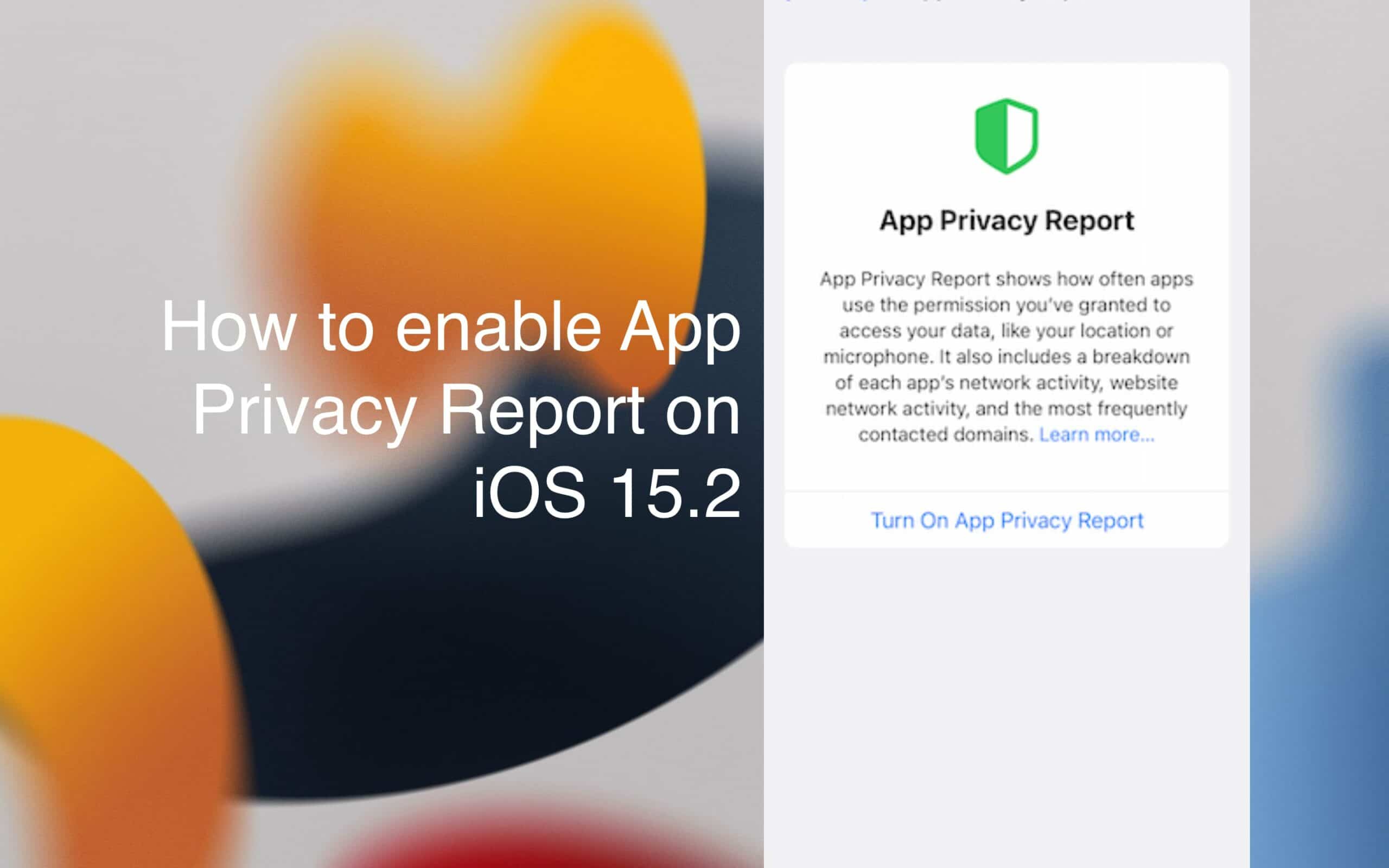 App Privacy Report