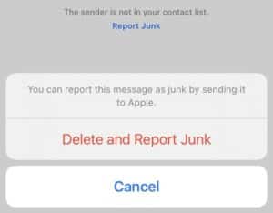 How to report spam or junk messages on iPhone