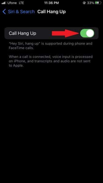 How to use Siri to end FaceTime and phone calls on iPhone 2