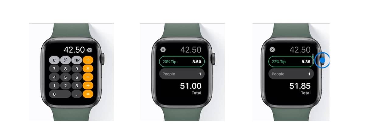 Apple Watch Tip