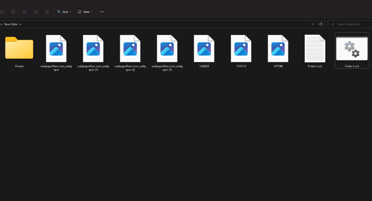 Windows 11 folder lock 12