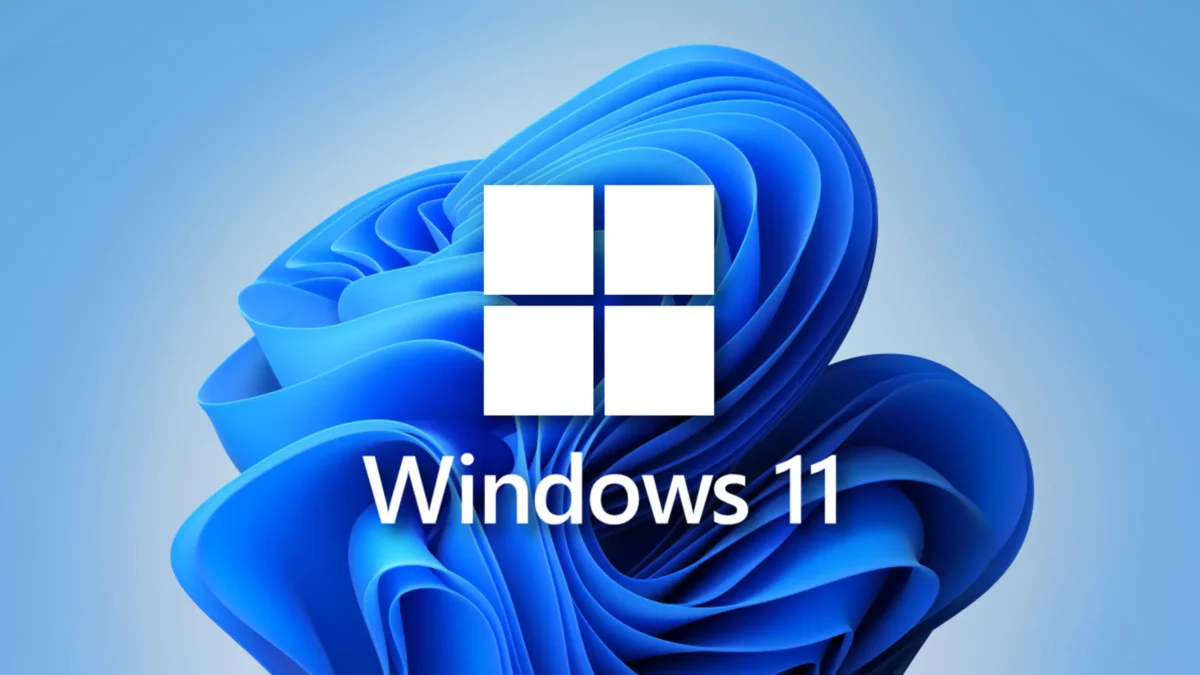 Microsoft Windows 11 Widget panel