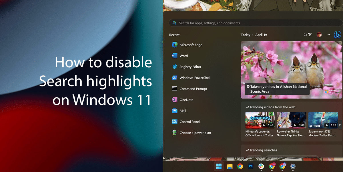 How to disable Search highlights on Windows 11_Featured