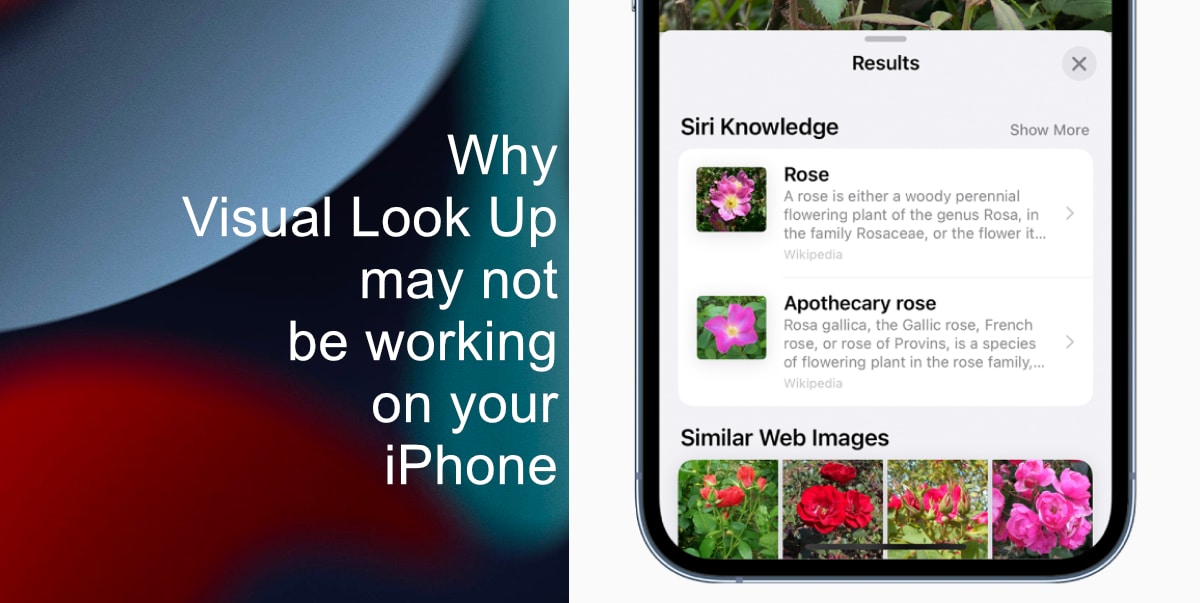 5 reasons why Visual Look Up may not be working on your iPhone