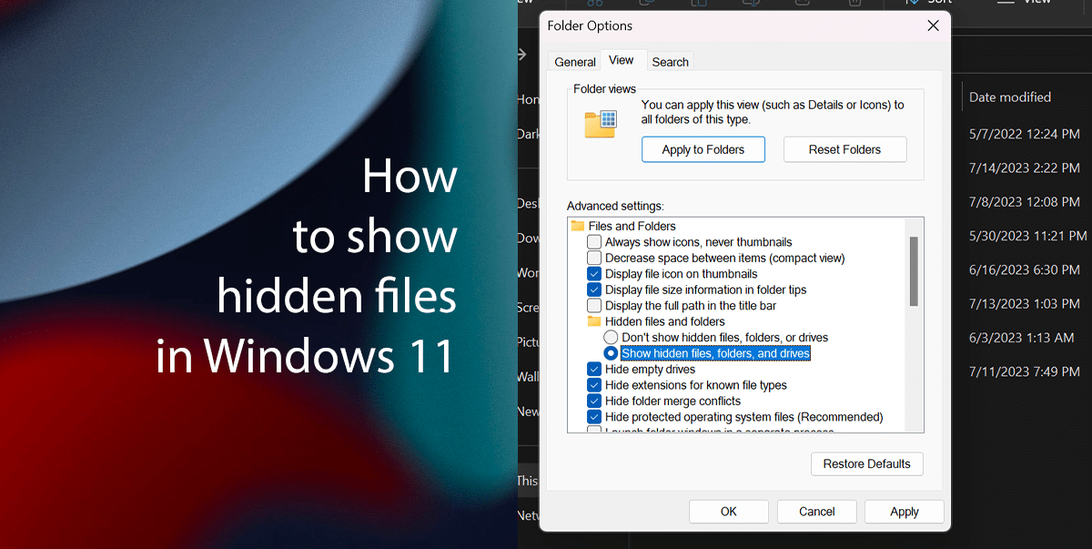 How to show hidden files in Windows 11 featured