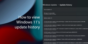 How to view Windows 11's update history featured