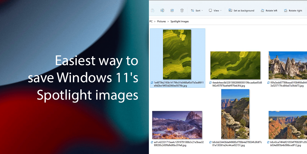 Easiest way to save Windows 11's Spotlight images