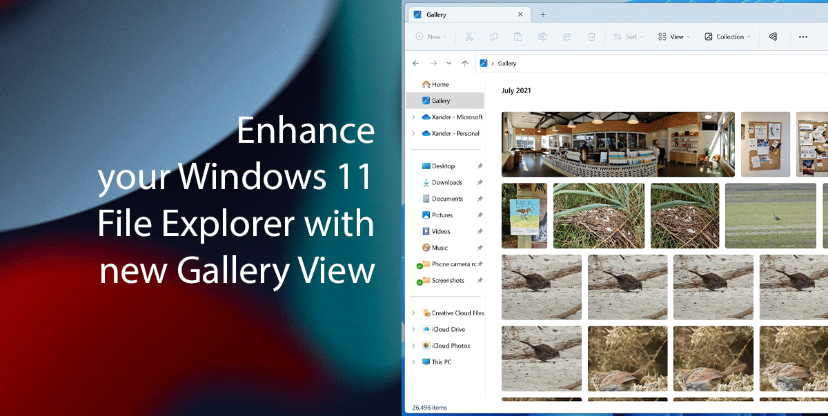 Enhance your Windows 11 File Explorer with new Gallery View