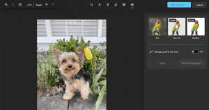 Windows 11 Photos app gets background removal and replacement feature