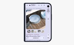 iPhone Duo Safari WebKit Outer Display